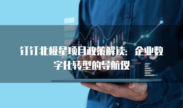 钉钉北极星项目政策解读：企业数字化转型的导航仪
