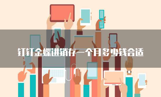 钉钉金蝶进销存一个月多少钱合适