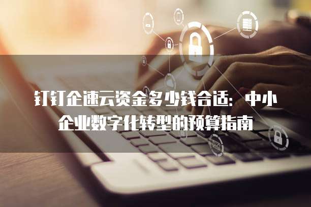 钉钉企速云资金多少钱合适:中小企业数字化转型的预算指南