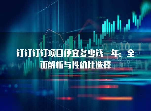 钉钉钉钉项目便宜多少钱一年:全面解析与性价比选择