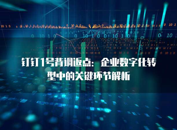 钉钉1号背调返点:企业数字化转型中的关键环节解析