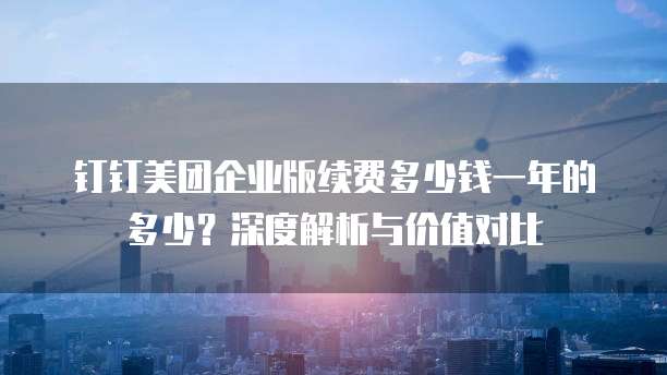 钉钉美团企业版续费多少钱一年的多少?深度解析与价值对比