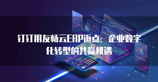 钉钉用友畅云ERP返点:企业数字化转型的共赢机遇