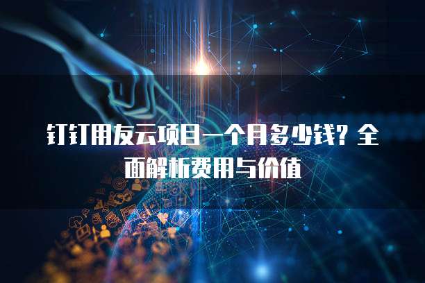 钉钉用友云项目一个月多少钱?全面解析费用与价值