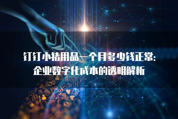 钉钉小猪用品一个月多少钱正常:企业数字化成本的透明解析