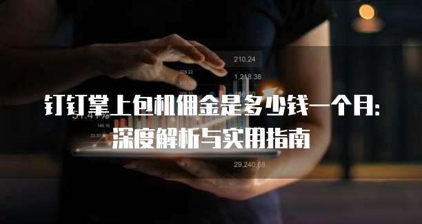 钉钉掌上包机佣金是多少钱一个月:深度解析与实用指南