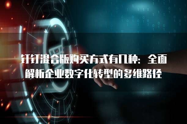 钉钉混合版购买方式有几种:全面解析企业数字化转型的多维路径
