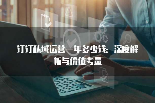 钉钉私域运营一年多少钱:深度解析与价值考量
