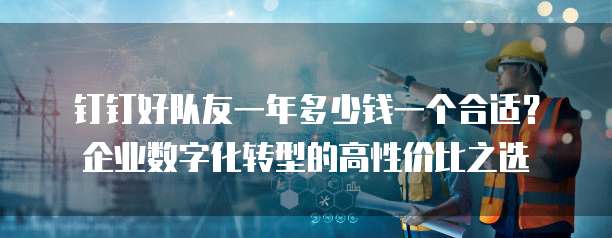 钉钉好队友一年多少钱一个合适?企业数字化转型的高性价比之选