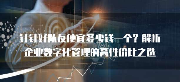 钉钉好队友便宜多少钱一个?解析企业数字化管理的高性价比之选