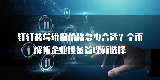 钉钉蓝莓维保价格多少合适?全面解析企业设备管理新选择