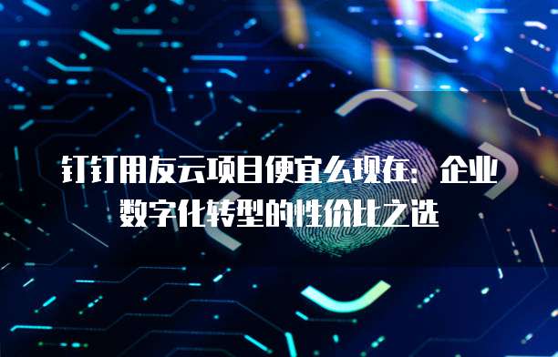 钉钉用友云项目便宜么现在：企业数字化转型的性价比之选