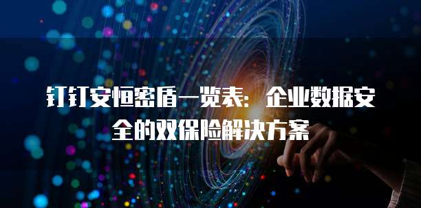 钉钉安恒密盾一览表:企业数据安全的双保险解决方案