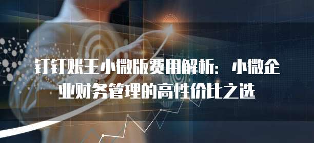 钉钉账王小微版费用解析:小微企业财务管理的高性价比之选