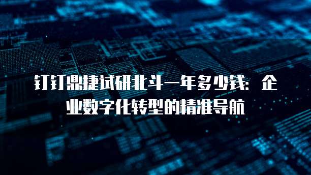 钉钉鼎捷试研北斗一年多少钱:企业数字化转型的精准导航