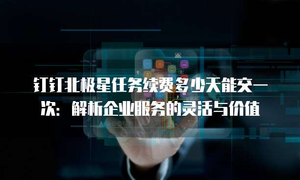 钉钉北极星任务续费多少天能交一次:解析企业服务的灵活与价值