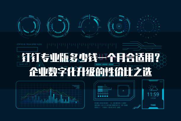 钉钉专业版多少钱一个月合适用?企业数字化升级的性价比之选