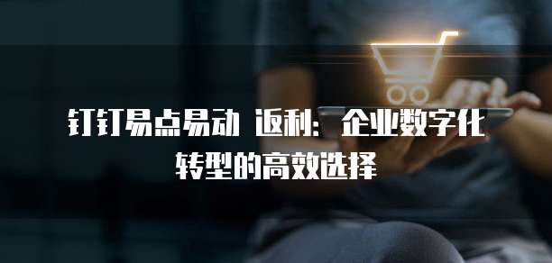 钉钉易点易动 返利：企业数字化转型的高效选择
