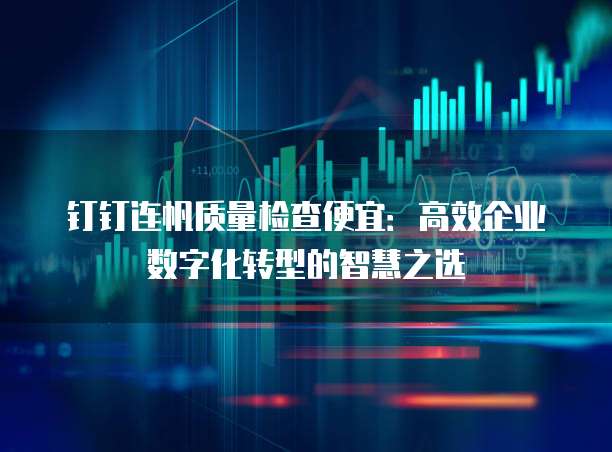 钉钉连帆质量检查便宜:高效企业数字化转型的智慧之选