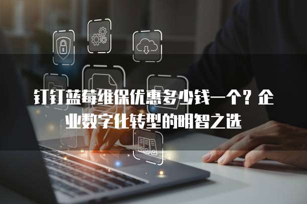钉钉蓝莓维保优惠多少钱一个?企业数字化转型的明智之选
