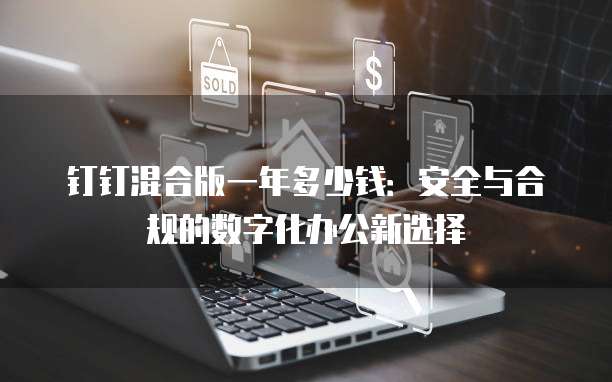 钉钉混合版一年多少钱:安全与合规的数字化办公新选择