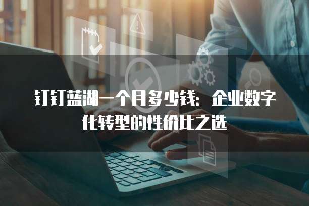 钉钉蓝湖一个月多少钱:企业数字化转型的性价比之选