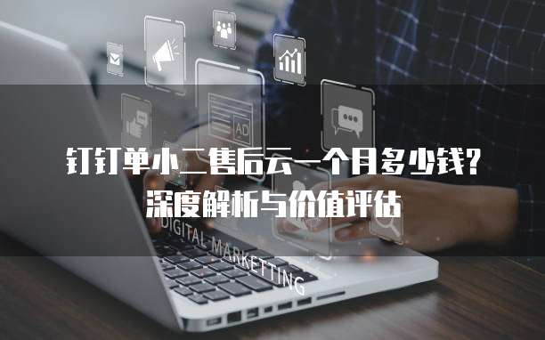 钉钉单小二售后云一个月多少钱?深度解析与价值评估