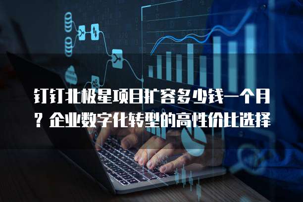 钉钉北极星项目扩容多少钱一个月?企业数字化转型的高性价比选择