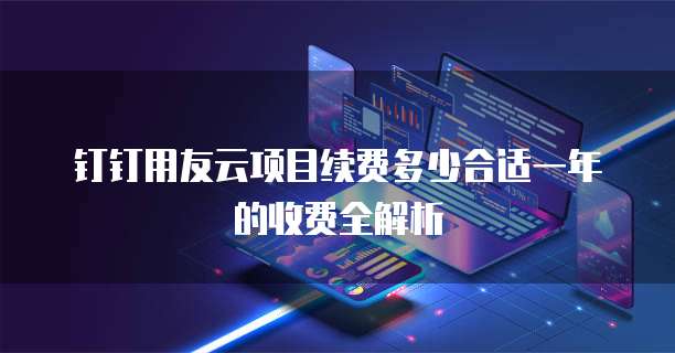 钉钉用友云项目续费多少合适一年的收费全解析