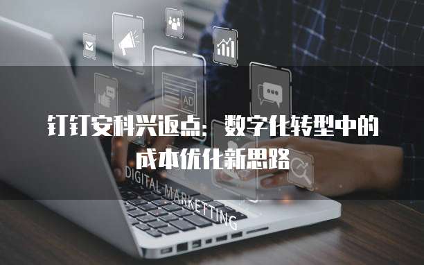 钉钉安科兴返点：数字化转型中的成本优化新思路