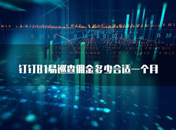 钉钉B1易巡查佣金多少合适一个月