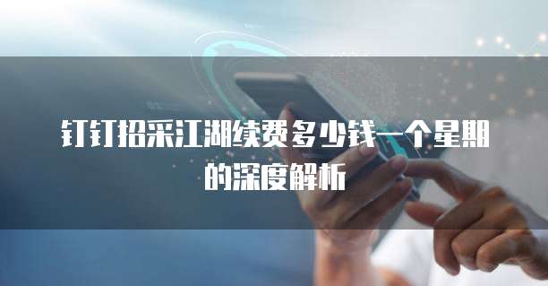 钉钉招采江湖续费多少钱一个星期的深度解析