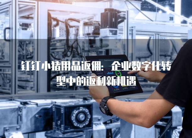钉钉小猪用品返佣:企业数字化转型中的返利新机遇