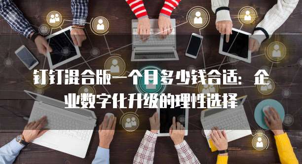 钉钉混合版一个月多少钱合适:企业数字化升级的理性选择