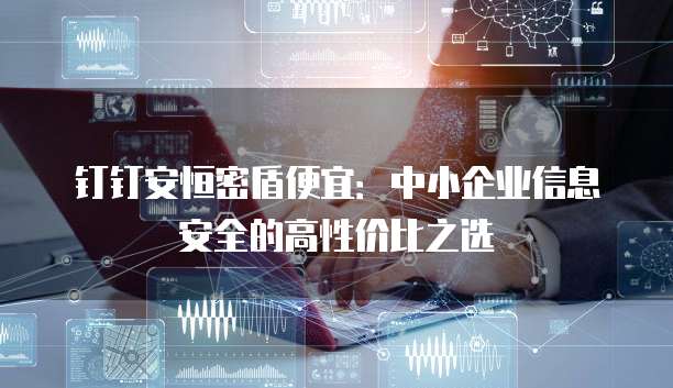 钉钉安恒密盾便宜:中小企业信息安全的高性价比之选