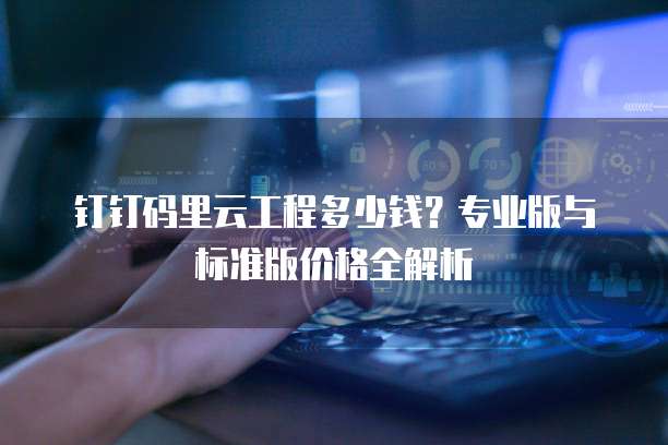钉钉码里云工程多少钱？专业版与标准版价格全解析