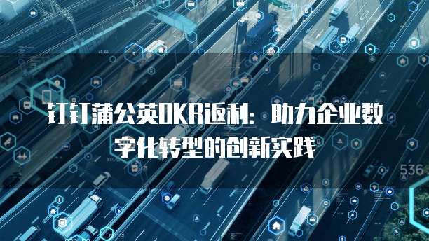 钉钉蒲公英OKR返利:助力企业数字化转型的创新实践