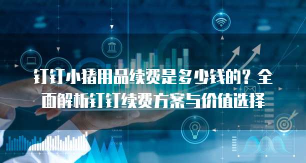 钉钉小猪用品续费是多少钱的?全面解析钉钉续费方案与价值选择