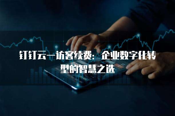 钉钉云一访客续费:企业数字化转型的智慧之选