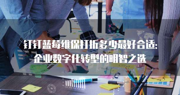 钉钉蓝莓维保打折多少最好合适:企业数字化转型的明智之选