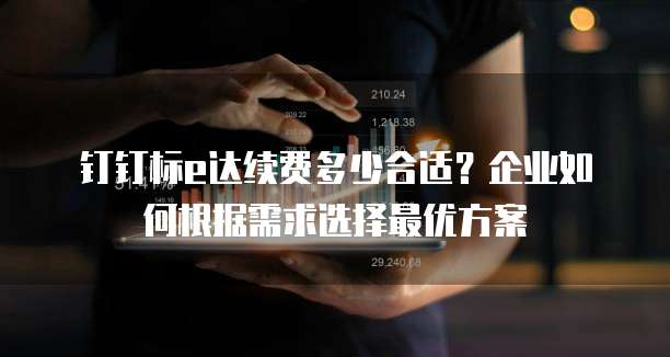 钉钉标e达续费多少合适？企业如何根据需求选择最优方案