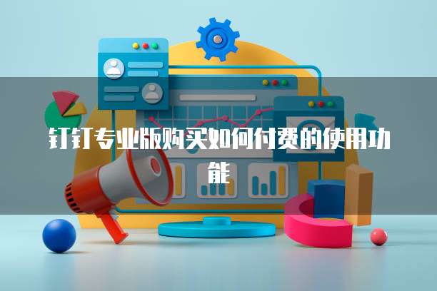 钉钉专业版购买如何付费的使用功能
