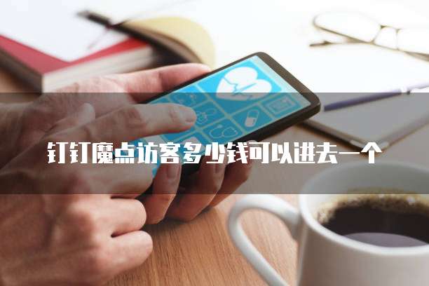 钉钉魔点访客多少钱可以进去一个