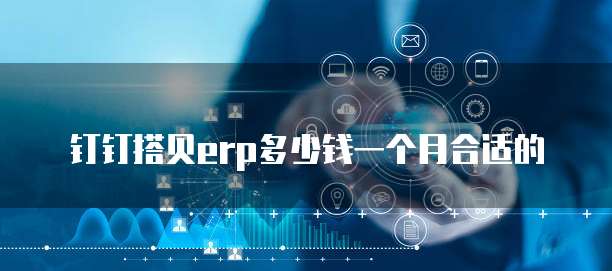 钉钉搭贝erp多少钱一个月合适的