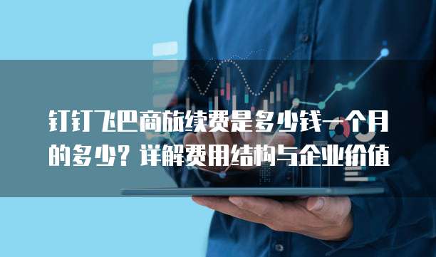 钉钉飞巴商旅续费是多少钱一个月的多少?详解费用结构与企业价值
