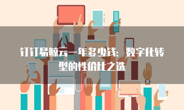钉钉易鲸云一年多少钱:数字化转型的性价比之选