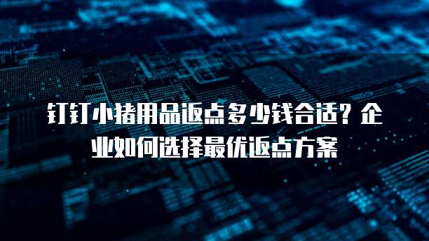钉钉小猪用品返点多少钱合适?企业如何选择最优返点方案