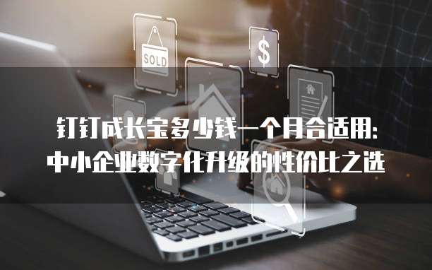 钉钉成长宝多少钱一个月合适用:中小企业数字化升级的性价比之选