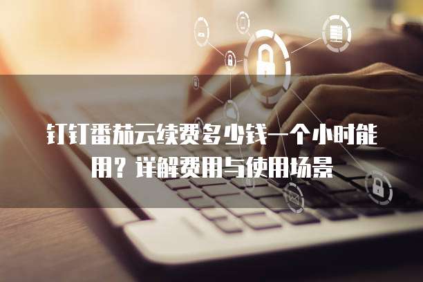 钉钉番茄云续费多少钱一个小时能用？详解费用与使用场景
