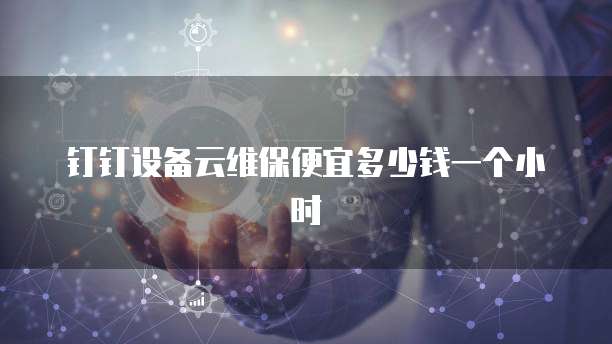 钉钉设备云维保便宜多少钱一个小时